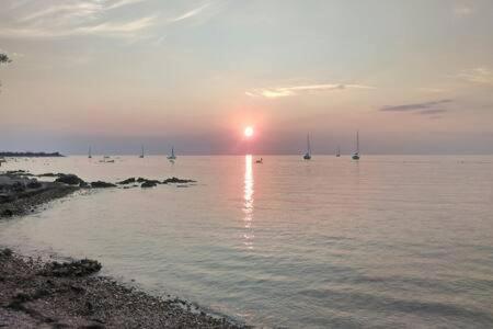 Lägenhet Murin Delfin Umag